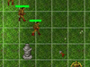 플래시RPG-TD