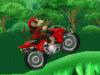 동키콩 ATV