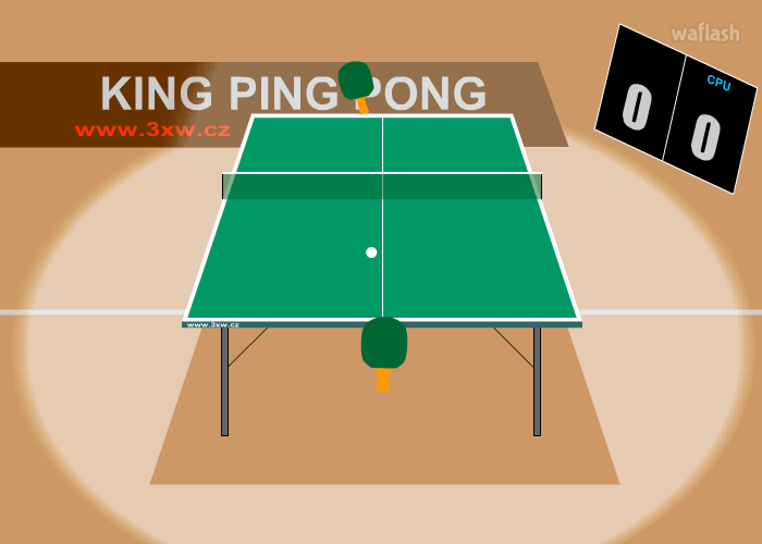 PING PONG 3D 탁구 게임