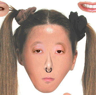 페이스리프트 (P11 Facelift)