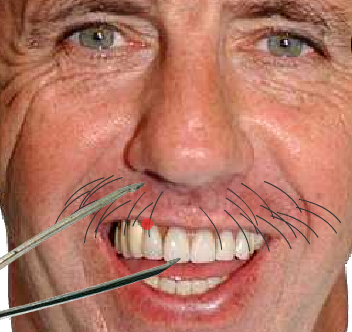 콧수염뽑기 Pluck My Tash