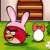 앵그리버드 에그 세이빙